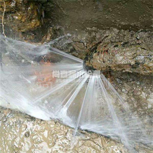 亭湖消防管道漏水检测
